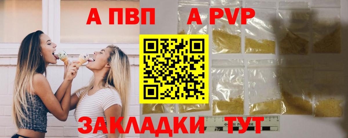 A PVP СК КРИС Шебекино
